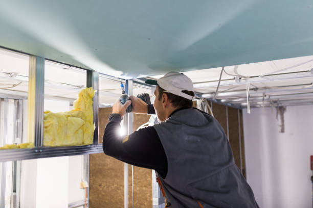 Best Insulation Removal  in Salisbury, MO