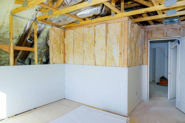 Best Wall Insulation Contractor  in Salisbury, MO