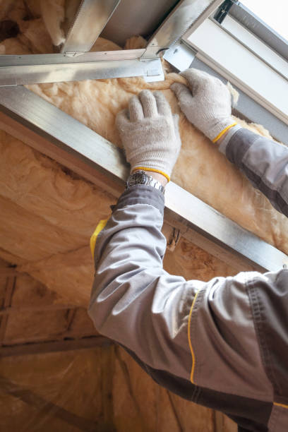 Best Cellulose Insulation  in Salisbury, MO