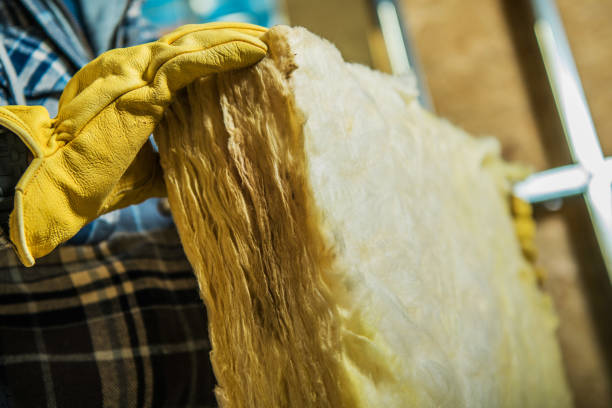Best Insulation Removal  in Salisbury, MO