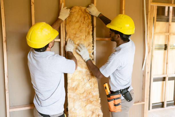 Best Insulation Inspection Services  in Salisbury, MO
