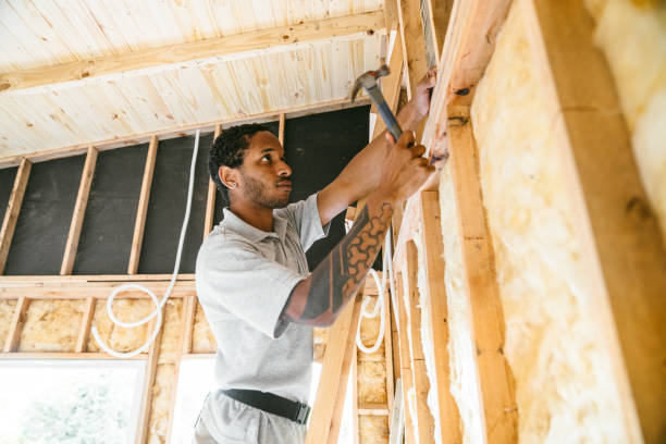 Best Insulation Inspection Services  in Salisbury, MO