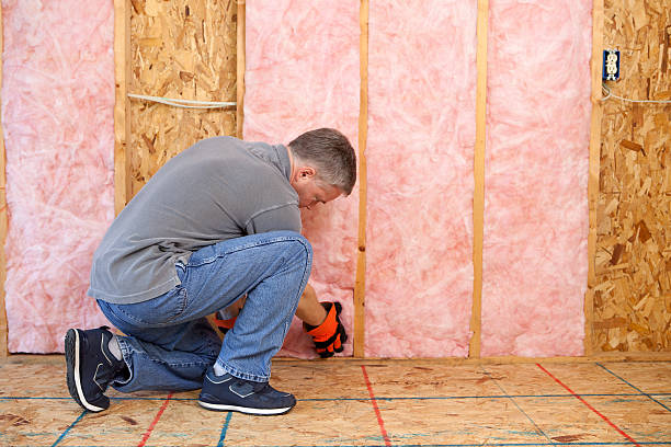 Best Spray Foam Insulation  in Salisbury, MO
