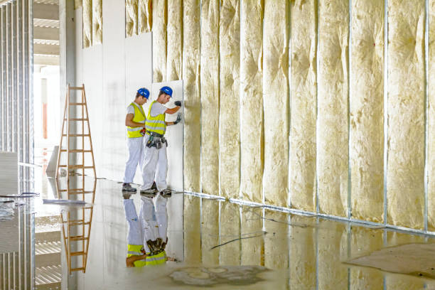 Trusted Salisbury, MO Insulation Contractor Experts
